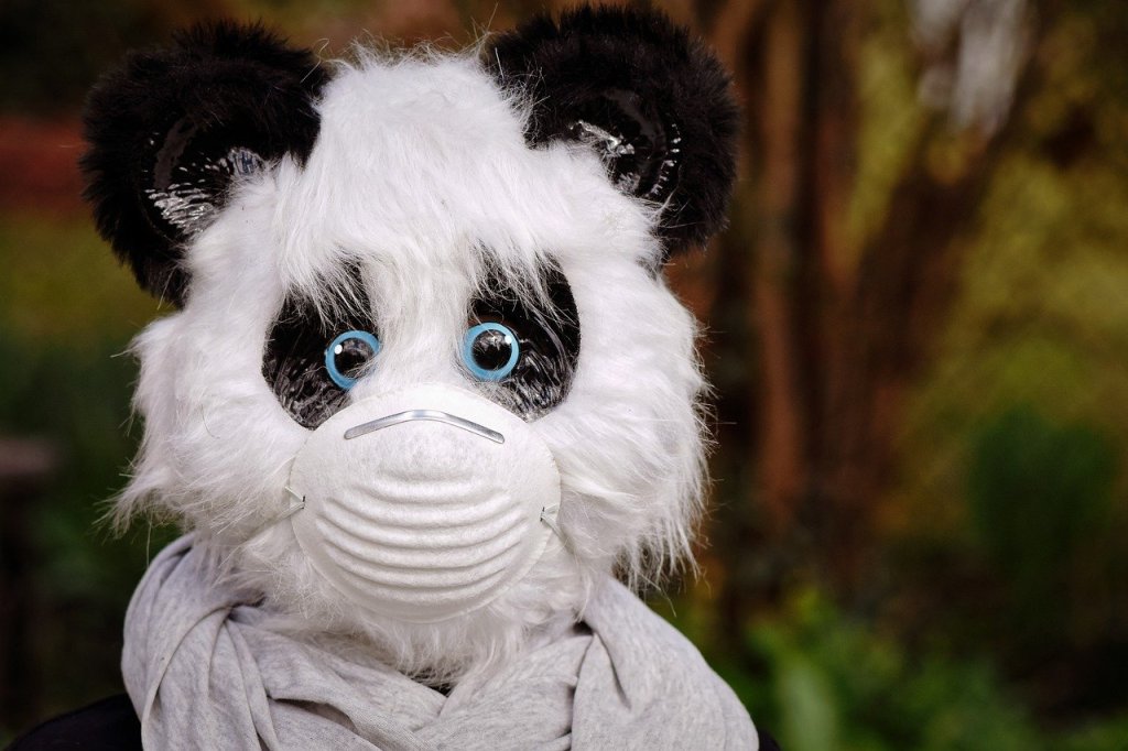 Die Maskenpflicht – Was weiß „die Wissenschaft“ wirklich?